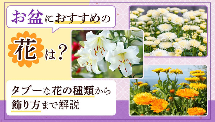 お盆におすすめの花は?タブーな花の種類から飾り方まで解説