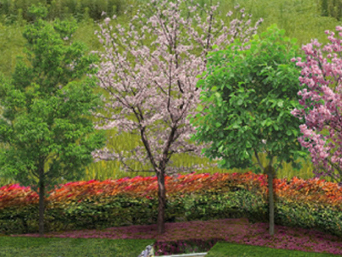 横浜港南台樹木葬 四季の郷