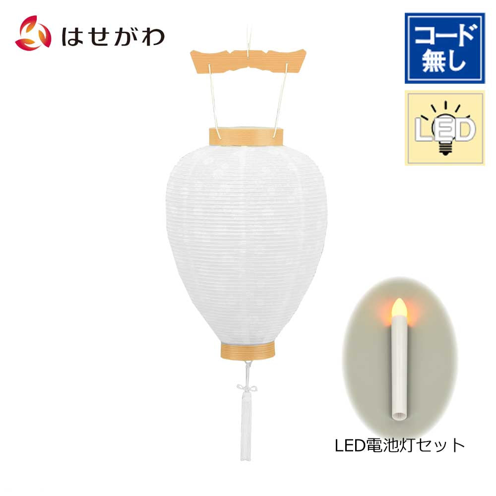 WEB限定】御所 中尺柾紋天 LED電池灯入 | お仏壇のはせがわ公式通販