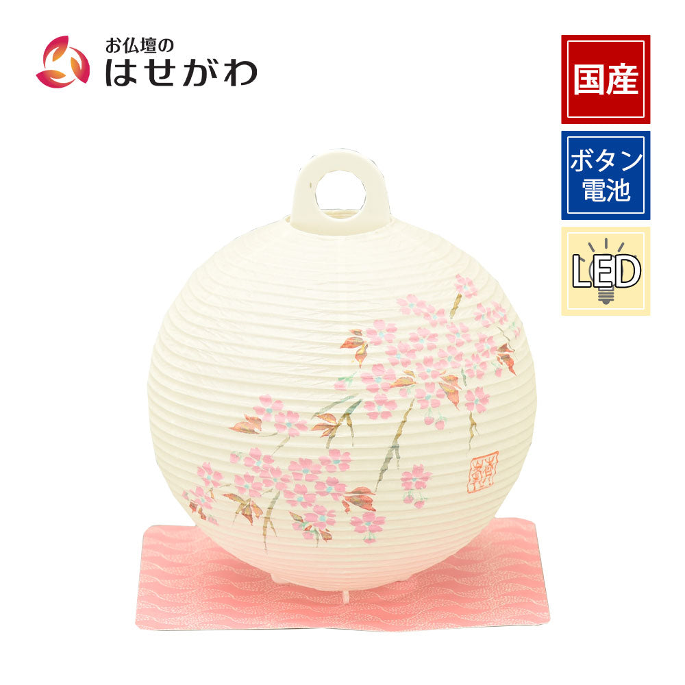 新型 レター提灯 桜 | お仏壇のはせがわ公式通販