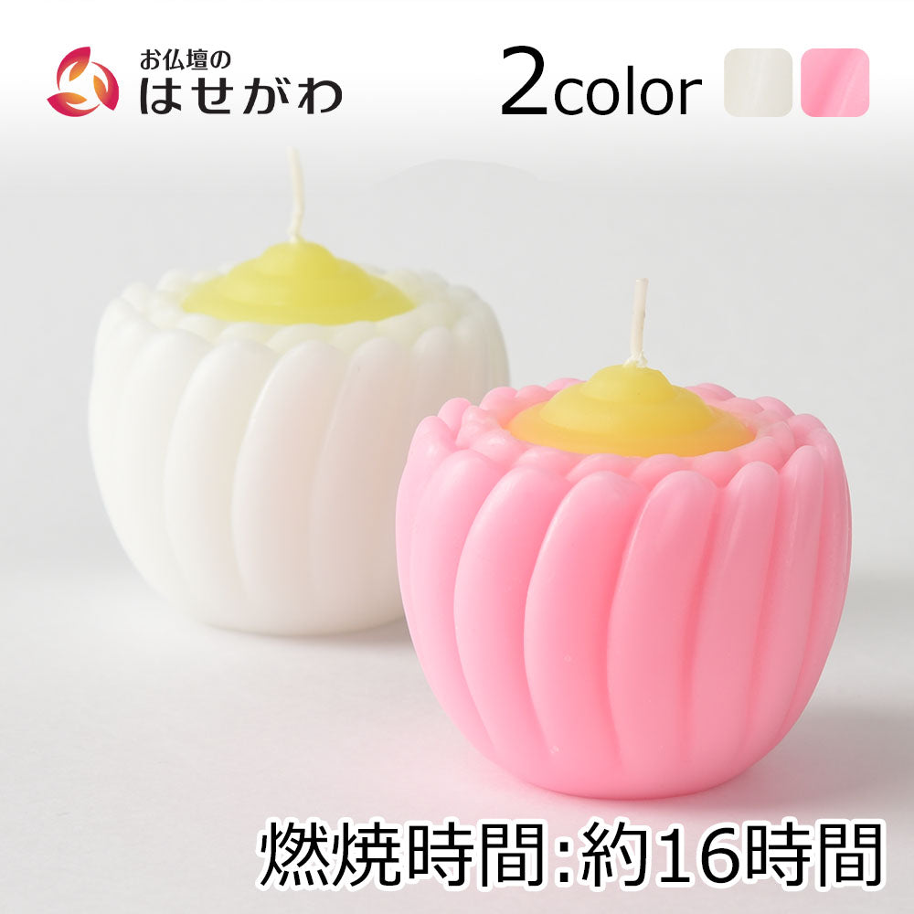 ローソク ブロンマ | お仏壇のはせがわ公式通販