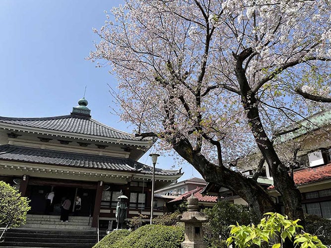 日曜寺 愛染墓苑 | お仏壇のはせがわ【公式】