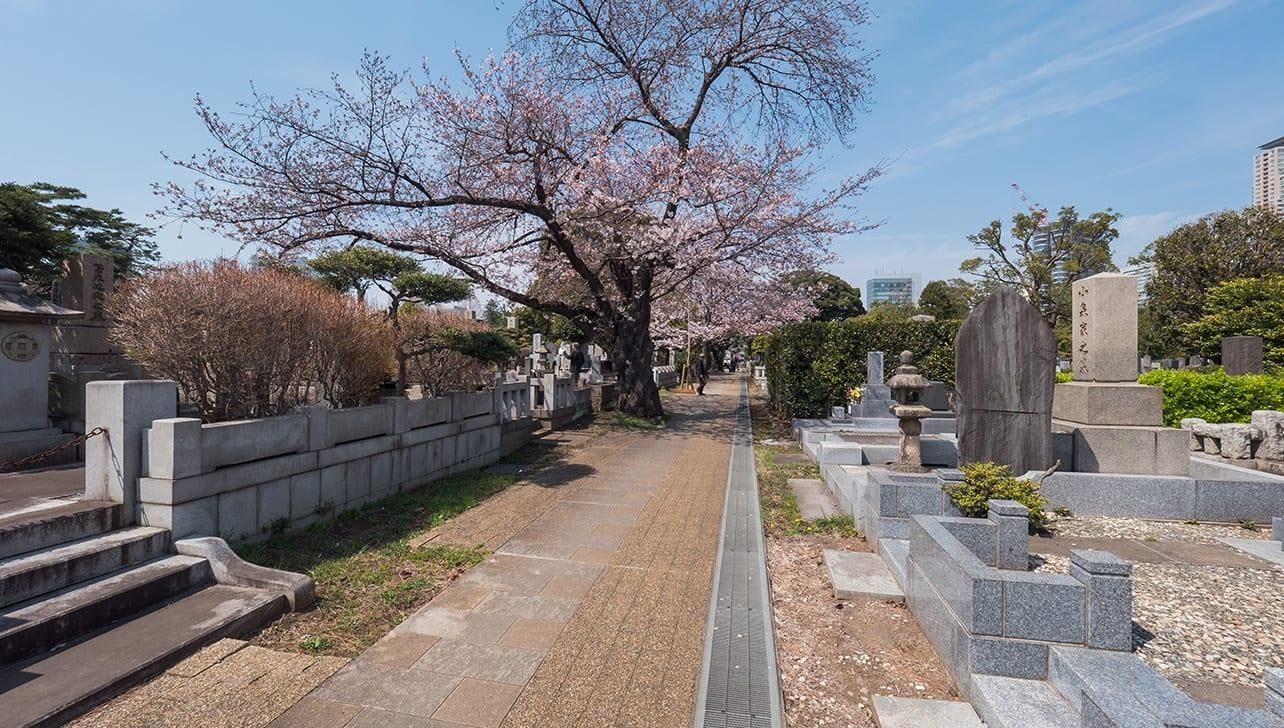 お墓（墓地）の種類に関する基礎知識