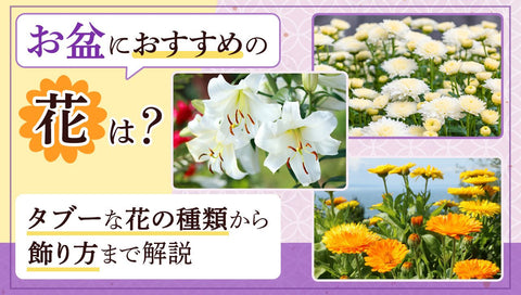 お盆の花ページのサムネイル