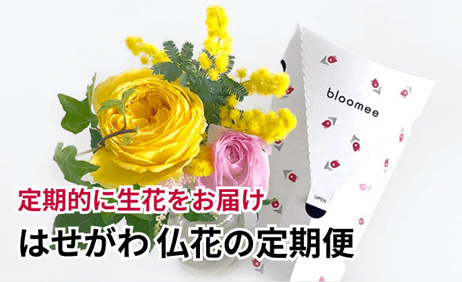 はせがわ 仏花の定期便