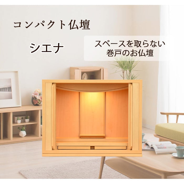 シエナ メープル H31cm