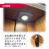 仏壇 隆興 (りゅうこう)  楡 高さ55cm 仏具セットB