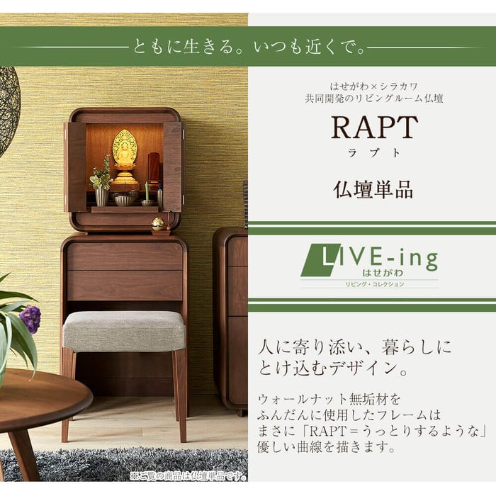 RAPT (ラプト) ウォールナット H53cm