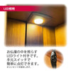 仏壇 隆興 (りゅうこう)  楡 高さ69cm