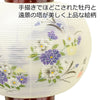 姫行灯 9号 MG 雅 (右)
