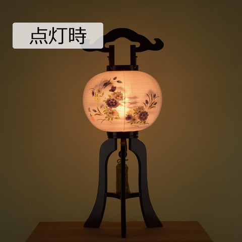 姫行灯 9号 MG 雅 (左)