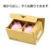 盆提灯 霊前灯 華蓮 ピンク 対 特徴 5