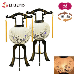 回転 菊桔梗 10号 対