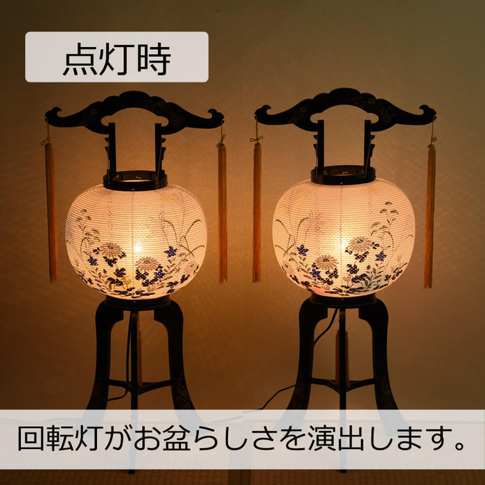 【桔梗に蝶図】榊原苔山 2556 キキョウにチョウ　掛け軸　肉筆 額絵「桔梗（ききょう）」 – Shop of Hokusai ｜ 北斎館ネット