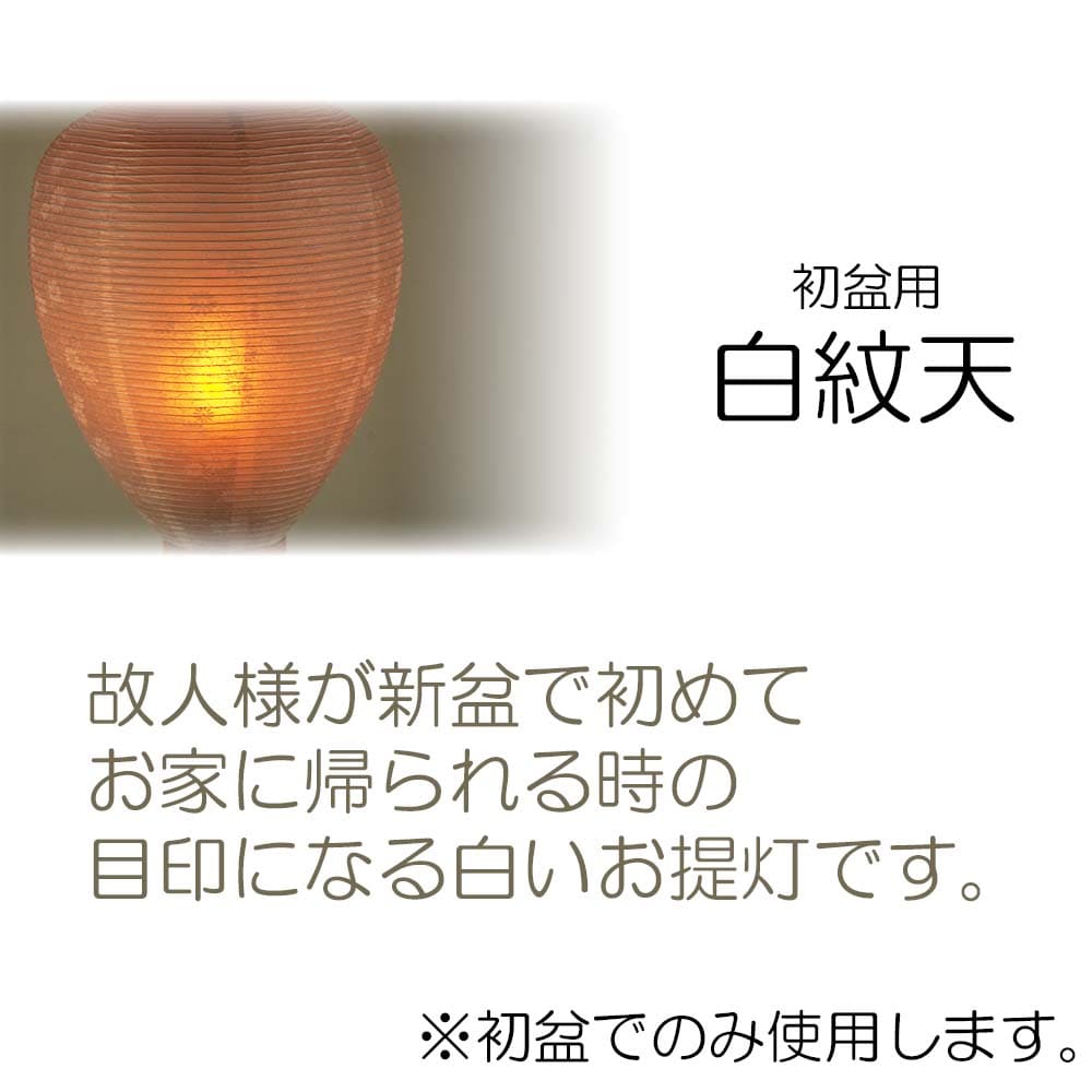 WEB限定】御所 中尺柾紋天 LED電池灯入 | お仏壇のはせがわ公式通販