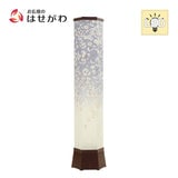 新型 美六 桜吹雪 大