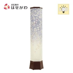 新型 美六 桜吹雪 大