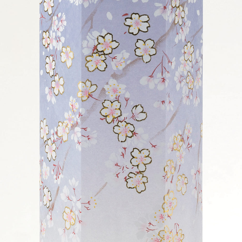 2927108600001d10.jpg?v=1753667524