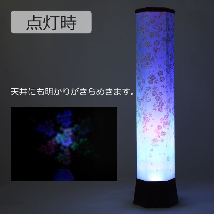 新型 美六 桜吹雪 大