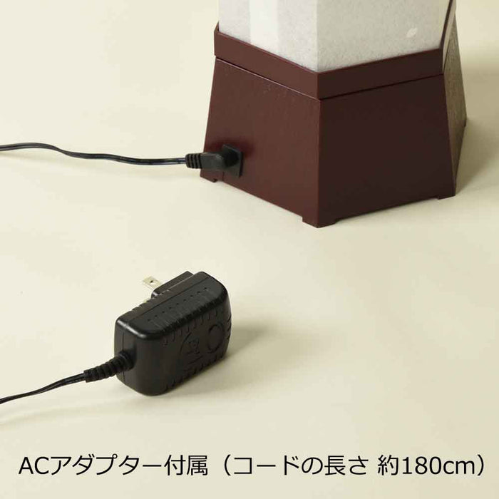 新型 美六 鉄線花 大