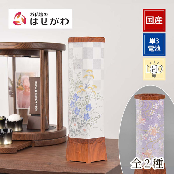 【WEB限定】新型 美六 小 コードレス