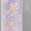 【WEB限定】新型 美六 小 コードレス