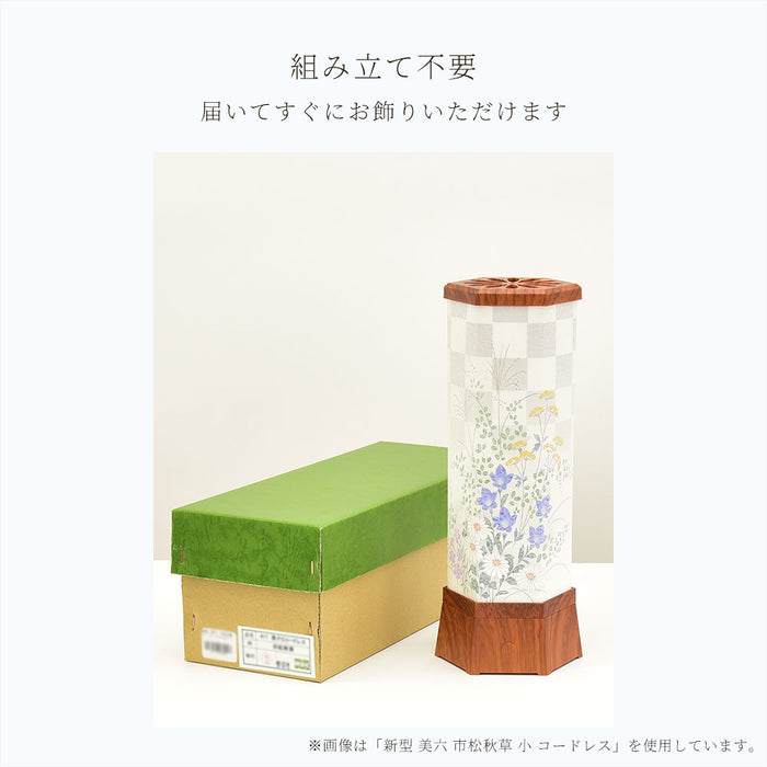【WEB限定】新型 美六 小 コードレス