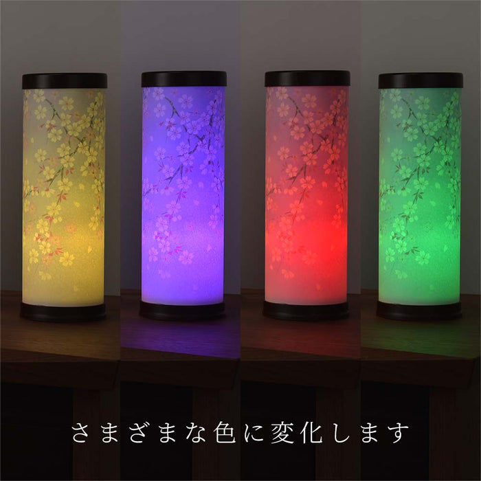 【WEB限定】新型 天 夜桜 コードレス