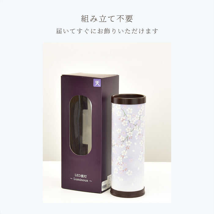【WEB限定】新型 天 夜桜 コードレス