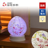 【WEB限定】新型 Lien (リアン) ホワイト 秋草