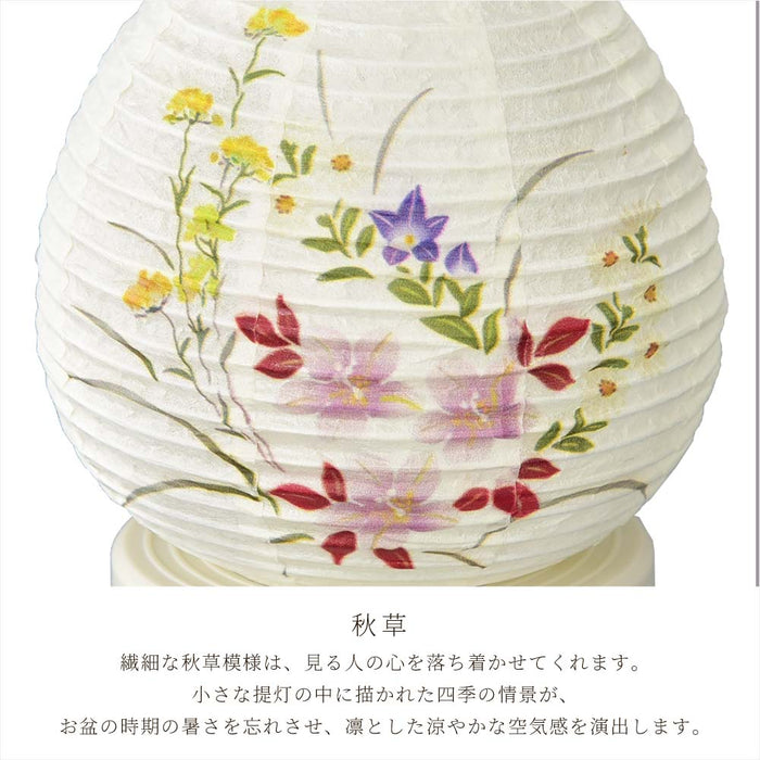【WEB限定】新型 Lien (リアン) ホワイト 秋草