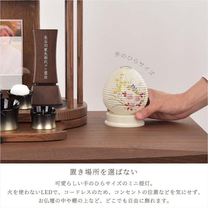 【WEB限定】新型 Lien (リアン) ホワイト 秋草