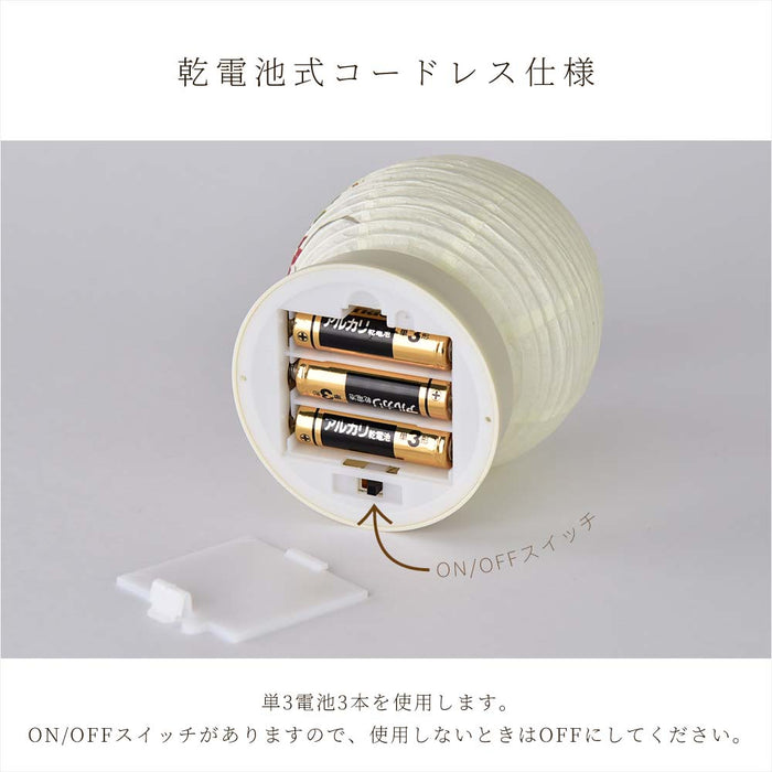 【WEB限定】新型 Lien (リアン) ホワイト 秋草
