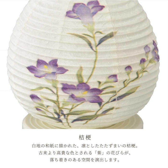 【WEB限定】新型 Lien (リアン) ホワイト 桔梗