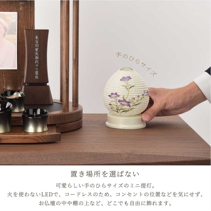 【WEB限定】新型 Lien (リアン) ホワイト 桔梗