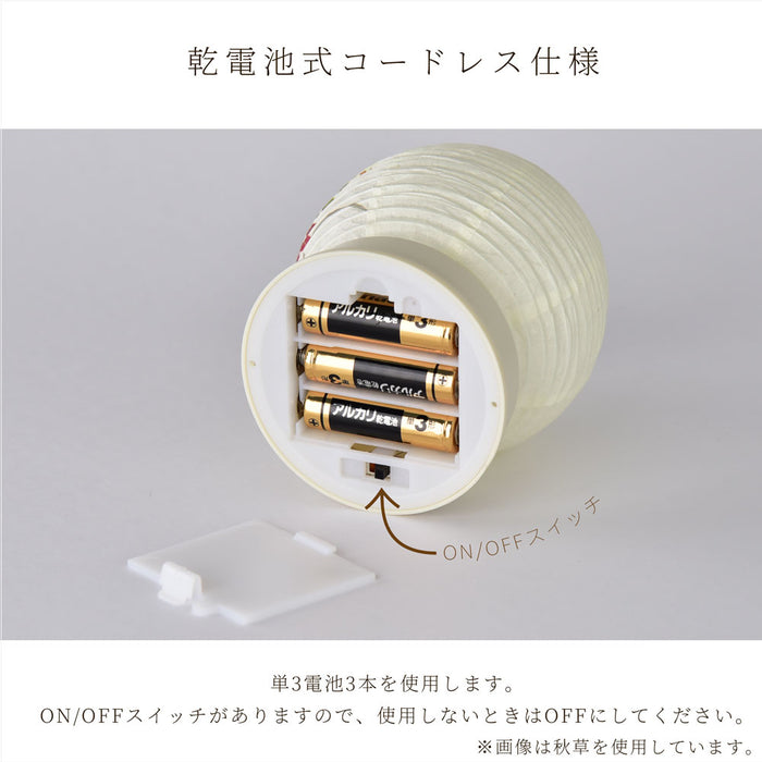 【WEB限定】新型 Lien (リアン) ホワイト 桔梗