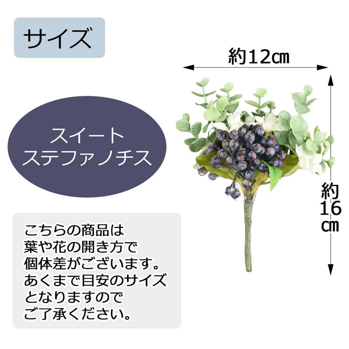 フラワーブーケ スイートステファノチス