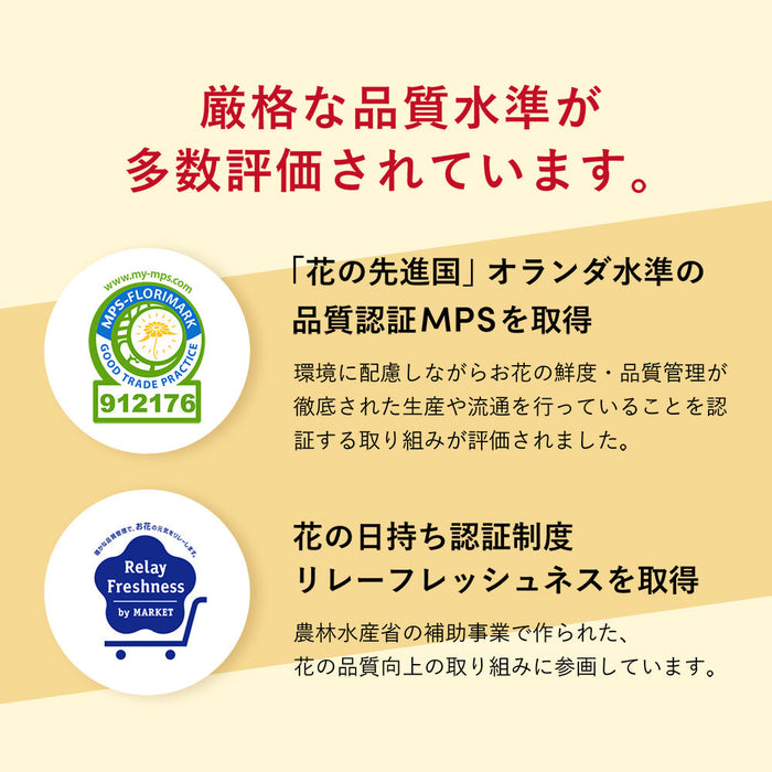 お供え物・お飾り 仏花の定期便(1回のみお試しプラン) 3本セット 特徴 15