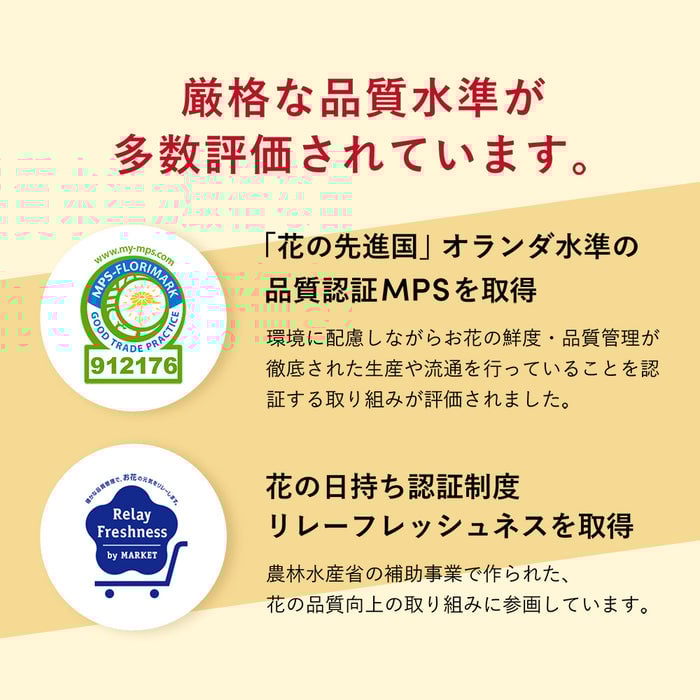 仏花の定期便(月1回プラン) 5本セット