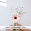 お供え物・お飾り 仏花の定期便(1回のみお試しプラン) 3本セット 特徴 5