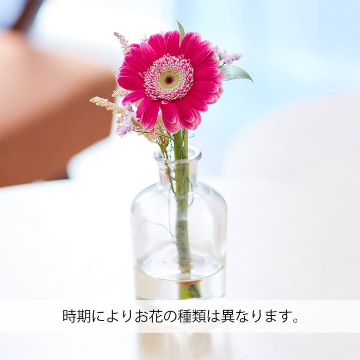 お供え物・お飾り 仏花の定期便(1回のみお試しプラン) 3本セット 特徴 8