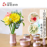 仏花の定期便(1回のみお試しプラン) 8本セット