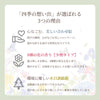 【WEB限定】進物線香 四季の想い出