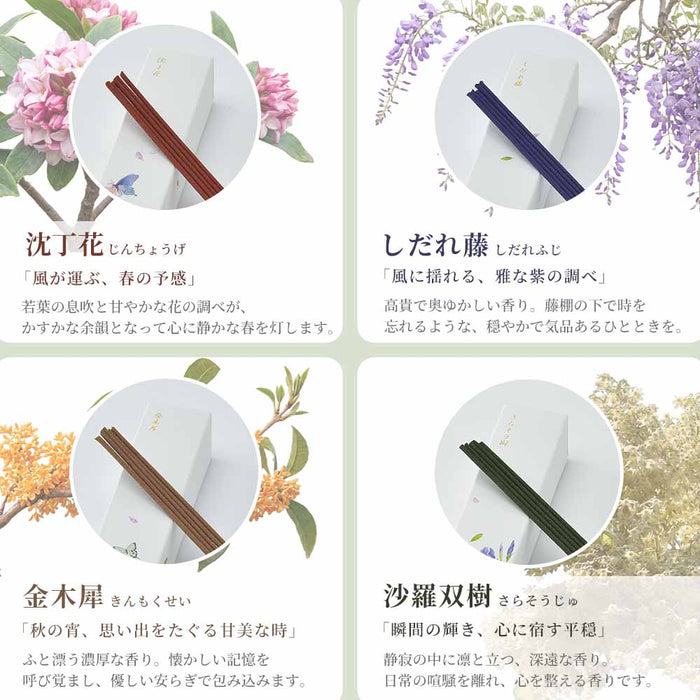 【WEB限定】進物線香 四季の想い出