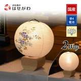 新型 円想 白紋天・ネモフィラ