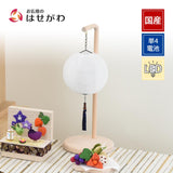 新型 クオレルーチェ 白紋天・撫子