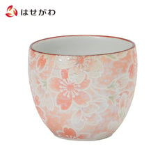 天音 茶湯器 有田焼 雅桜 ピンク