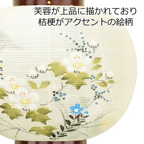 行灯 10号 二重 流真 ワイン