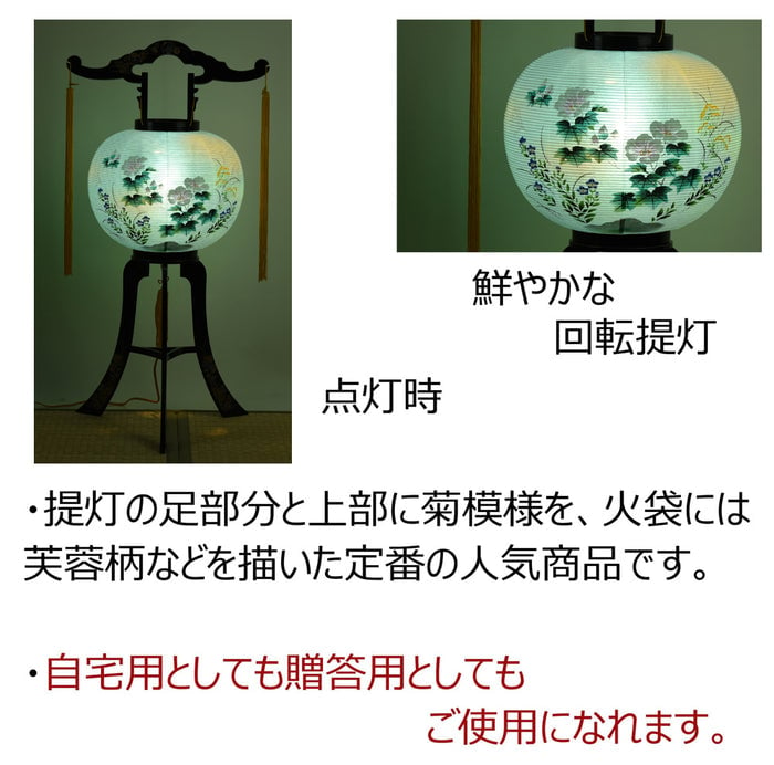 回転 11号 菊蒔絵