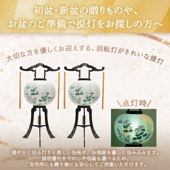 回転 11号 菊蒔絵  2個セット